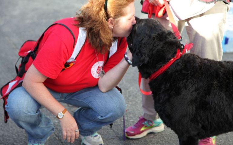 Therapy Dogs Now Integral Part of Salvation Army Disaster Response